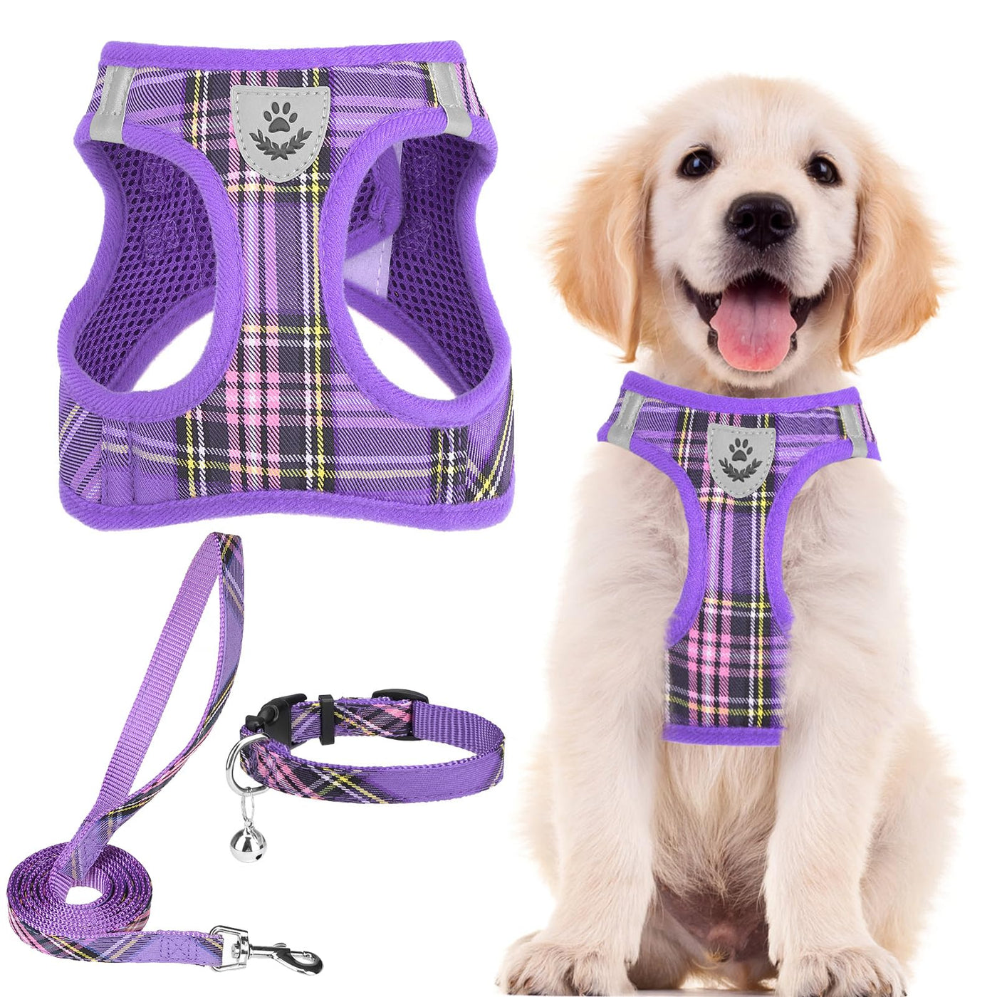 Adjustable No-Pull Dog & Cat Harness Leash Set