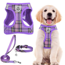 Adjustable No-Pull Dog & Cat Harness Leash Set