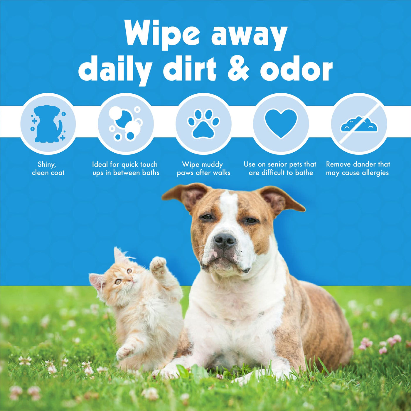Big N’ Thick Pet Wipes for Dogs & Cats, 100 Count
