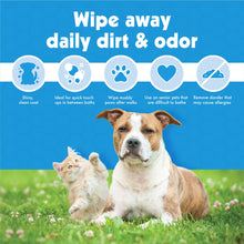 Big N’ Thick Pet Wipes for Dogs & Cats, 100 Count
