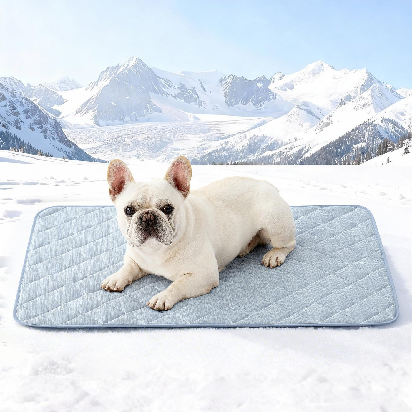 Extra Large Waterproof Cooling Mat for Large Dogs