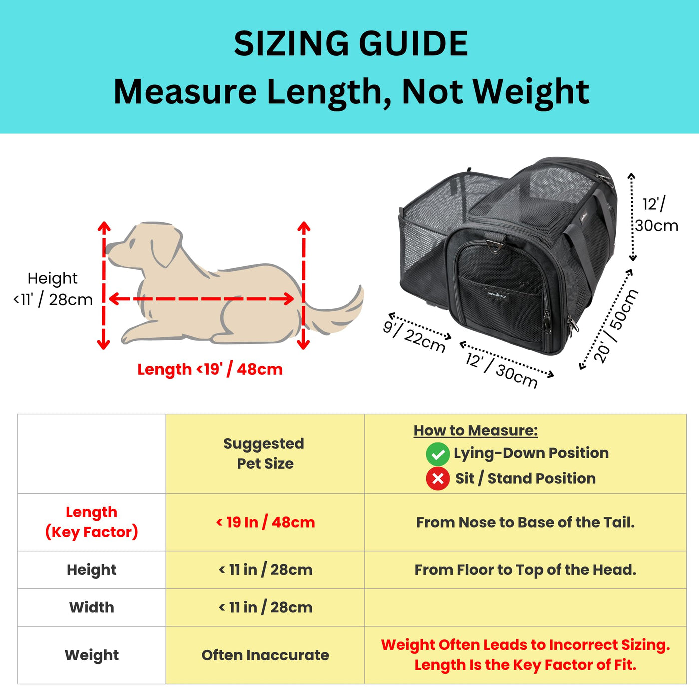 Crash-Tested 3-in-1 Pet Carrier & Car Seat