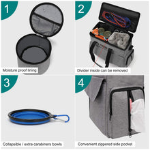 Airline-Approved Dog & Cat Travel Organizer Bag