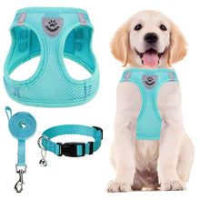 Adjustable No-Pull Dog & Cat Harness Leash Set