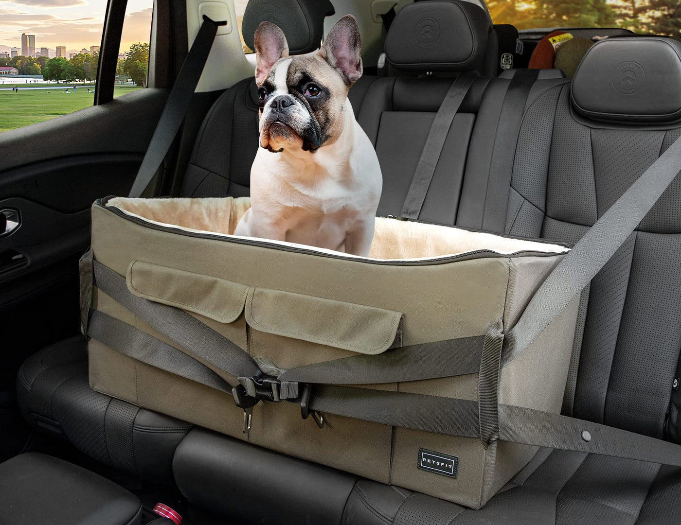 Medium Dog Car Booster Seat with Dual Safety Leashes