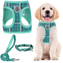 Adjustable No-Pull Dog & Cat Harness Leash Set