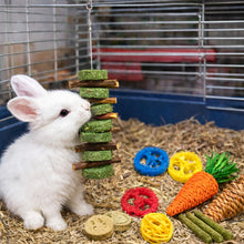 Natural Bunny Chew Toys with Apple Wood & Timothy Grass