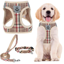 Adjustable No-Pull Dog & Cat Harness Leash Set
