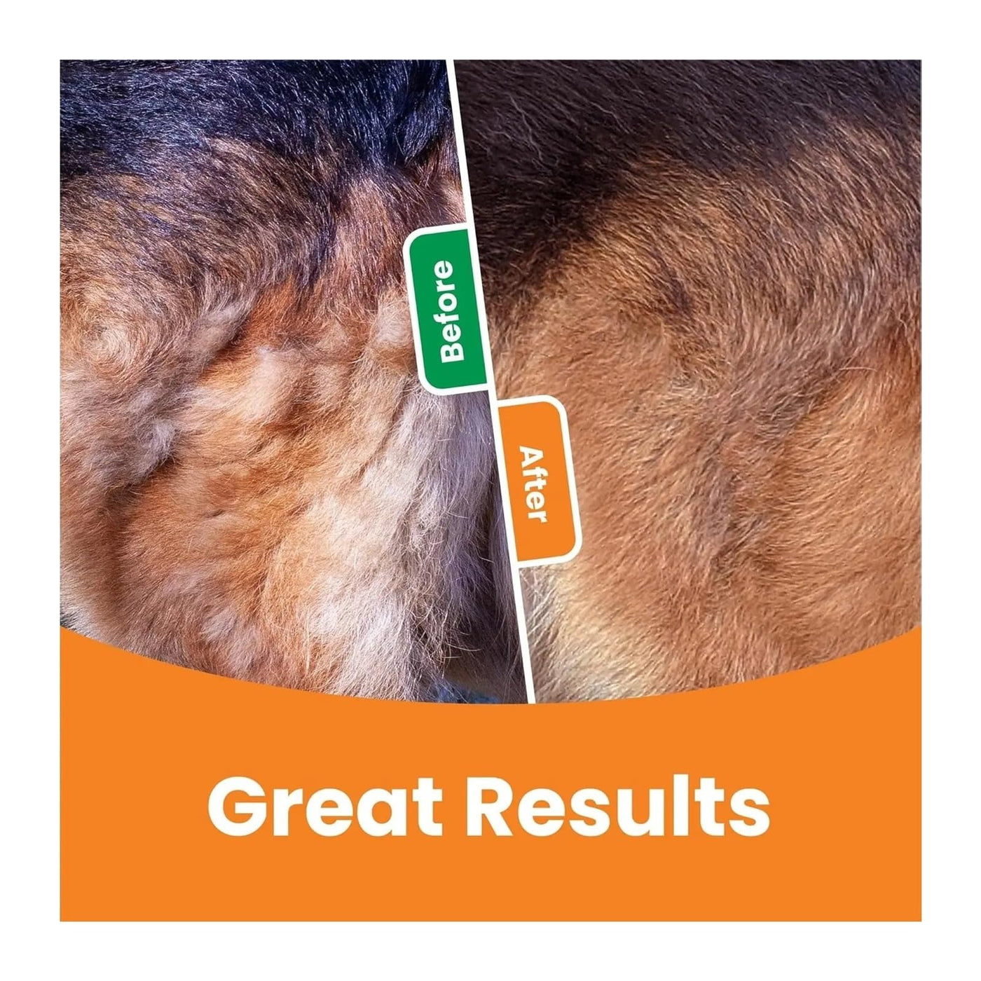 3-in-1 Deshedding Grooming Brush for Dogs & Cats