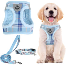 Adjustable No-Pull Dog & Cat Harness Leash Set