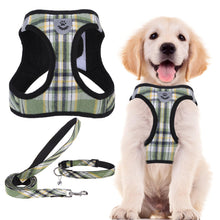 Adjustable No-Pull Dog & Cat Harness Leash Set
