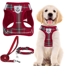 Adjustable No-Pull Dog & Cat Harness Leash Set