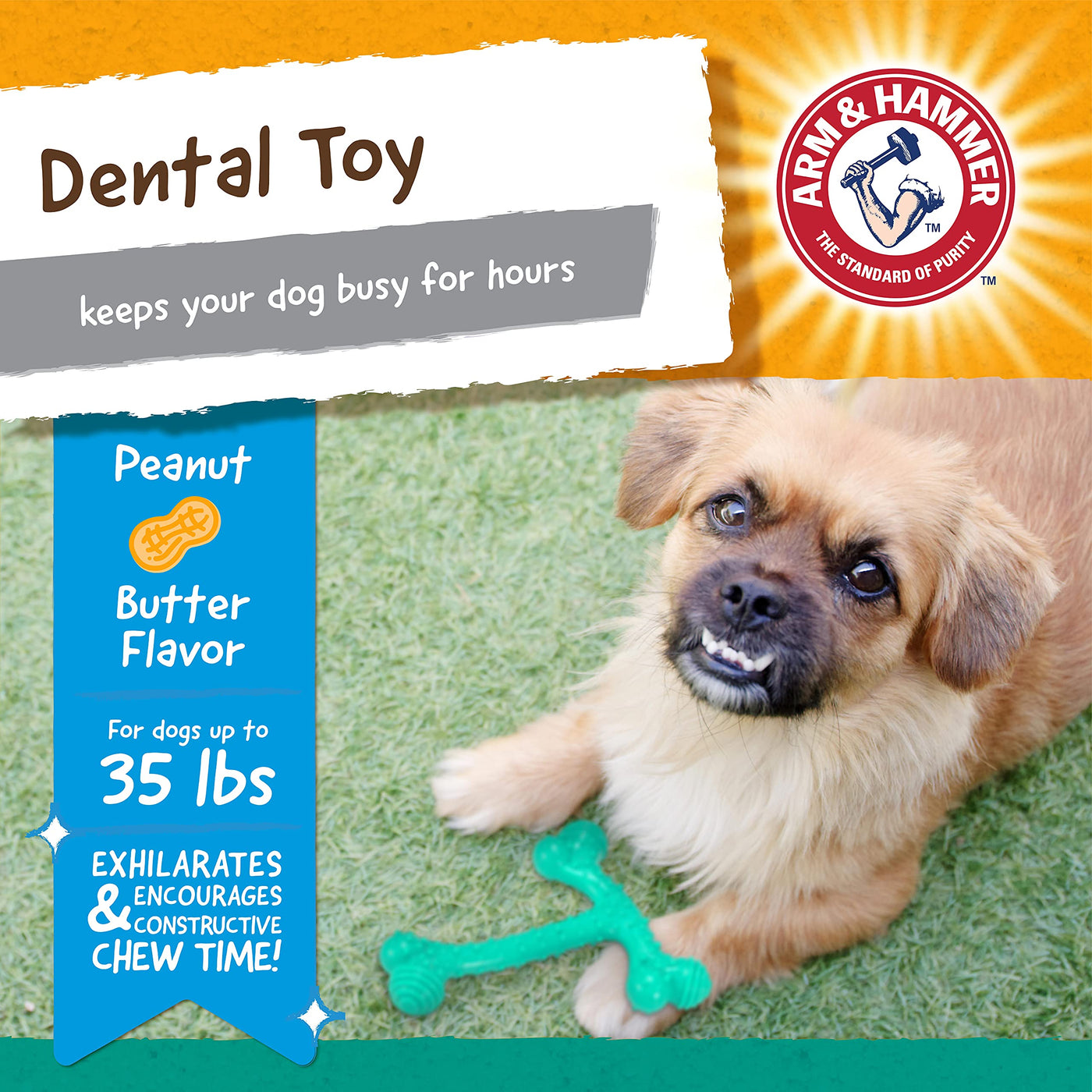 T-Bone Dental Chew Toy for Dogs & Tough Chewers