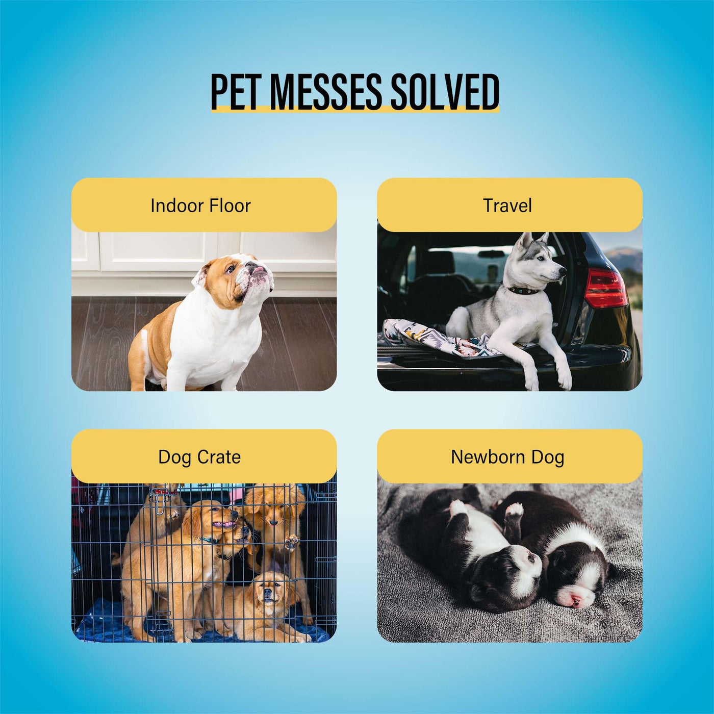 22" x 22" Dog Training Pads for Puppy Potty Care