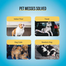 22" x 22" Dog Training Pads for Puppy Potty Care