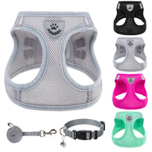 Adjustable No-Pull Dog & Cat Harness Leash Set