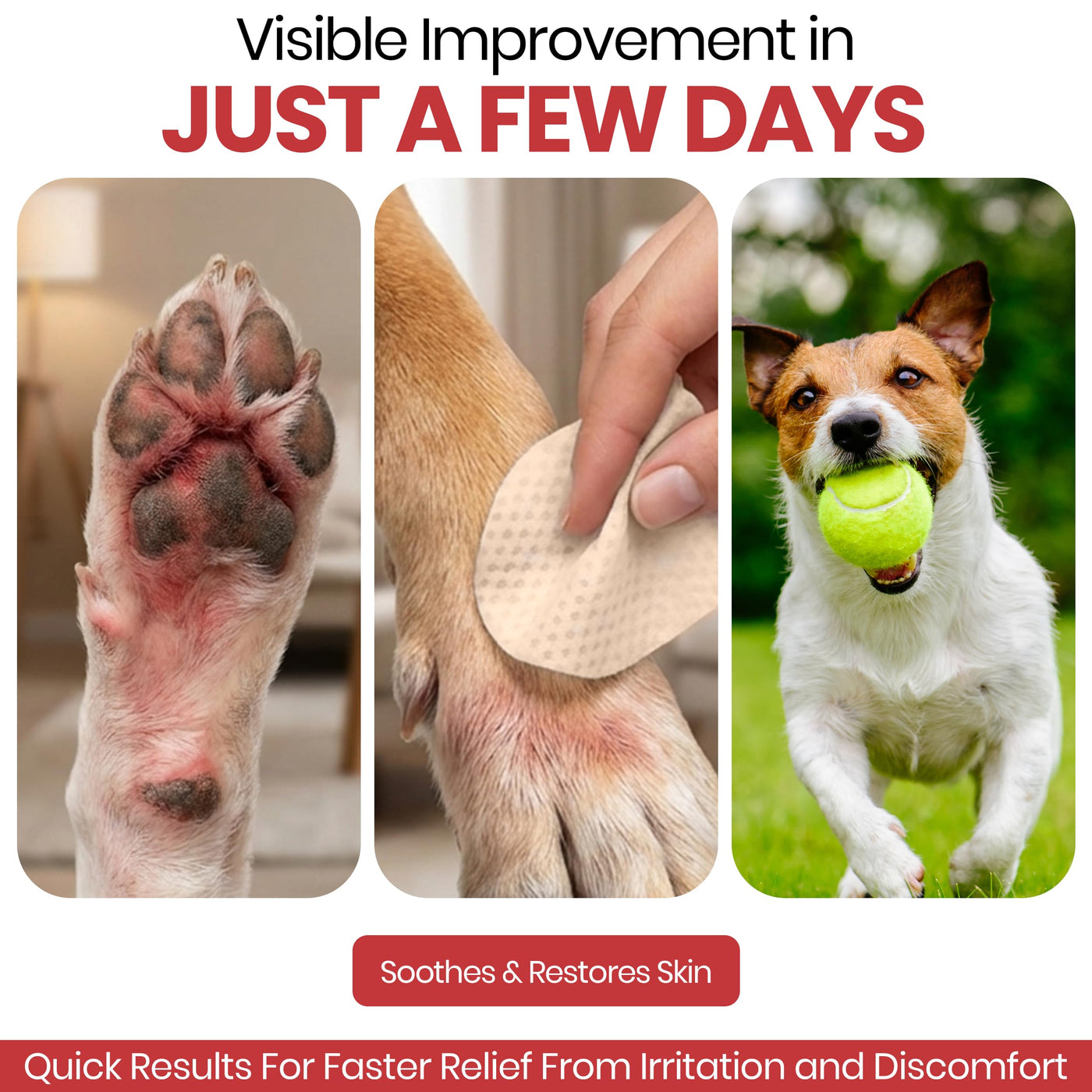 Soothing Dog Paw Wipes with Chlorhexidine Formula