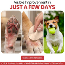Soothing Dog Paw Wipes with Chlorhexidine Formula