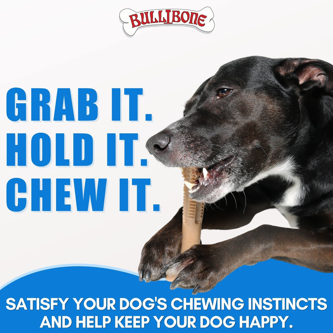 Long-Lasting Nylon Toothbrush Chew Toy for Dogs