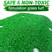 Turtle Basking Platform with Grass Aquarium Ramp