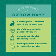 Orchard Grass Hay for Rabbits and Small Pets