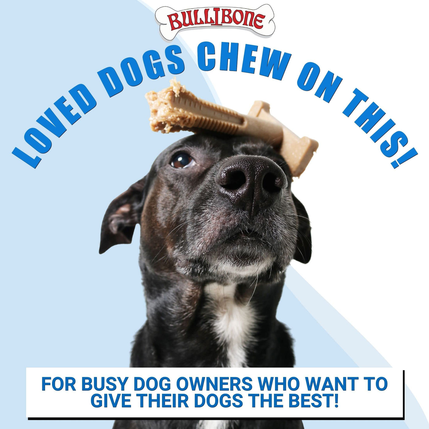 Long-Lasting Nylon Toothbrush Chew Toy for Dogs