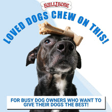 Long-Lasting Nylon Toothbrush Chew Toy for Dogs