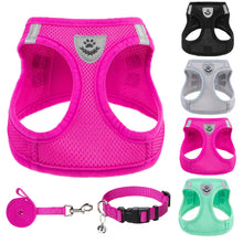 Adjustable No-Pull Dog & Cat Harness Leash Set
