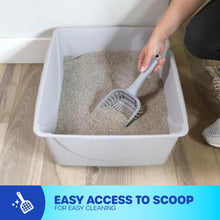 Basic Open Cat Litter Box Pan for Indoor Cats