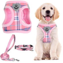 Adjustable No-Pull Dog & Cat Harness Leash Set