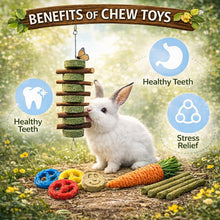 Natural Bunny Chew Toys with Apple Wood & Timothy Grass