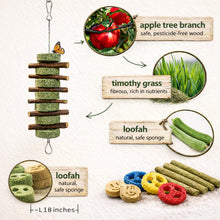 Natural Bunny Chew Toys with Apple Wood & Timothy Grass