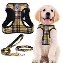 Adjustable No-Pull Dog & Cat Harness Leash Set