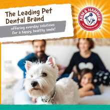 Super Treadz Dental Chew Toy for Dogs up to 35 lbs