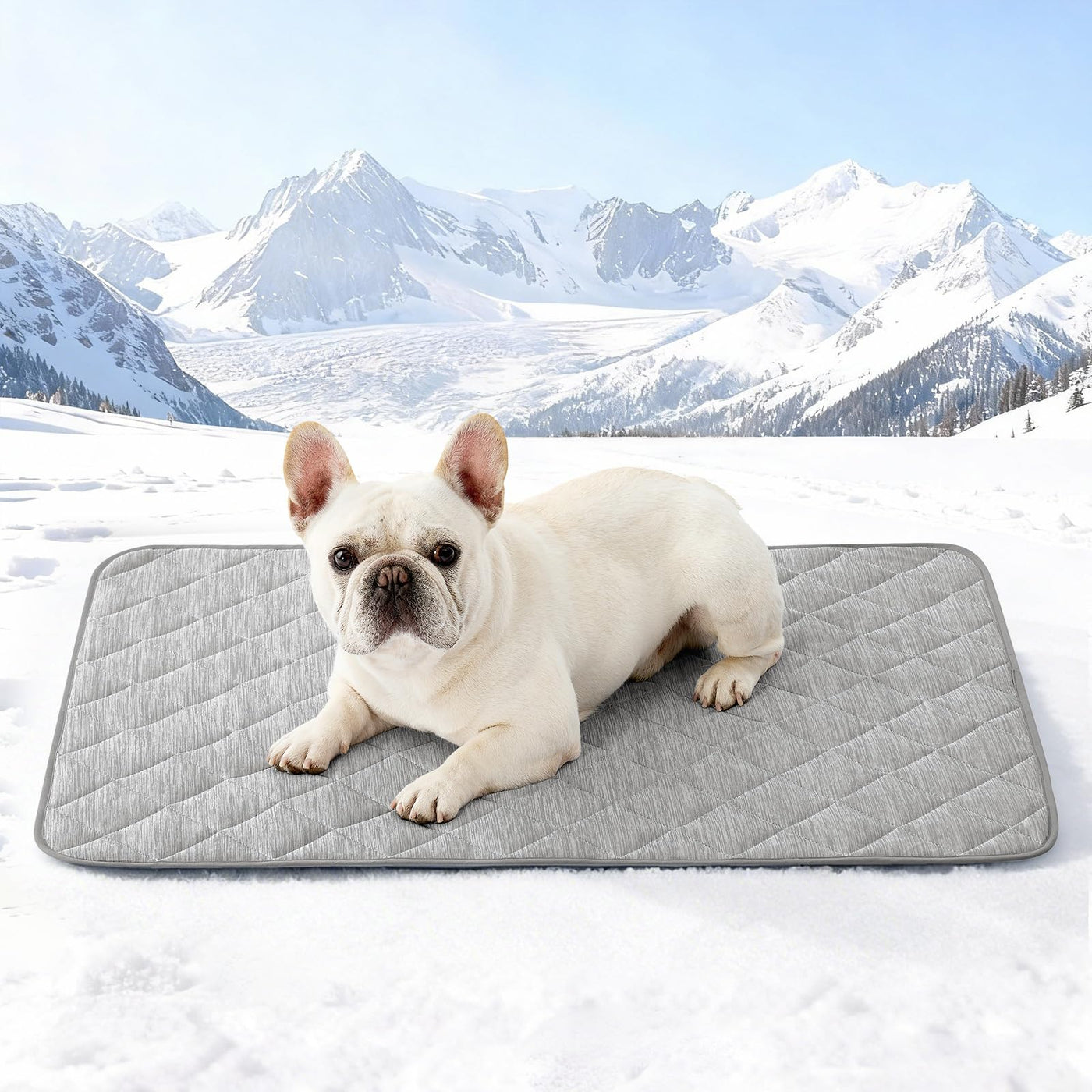 Extra Large Waterproof Cooling Mat for Large Dogs