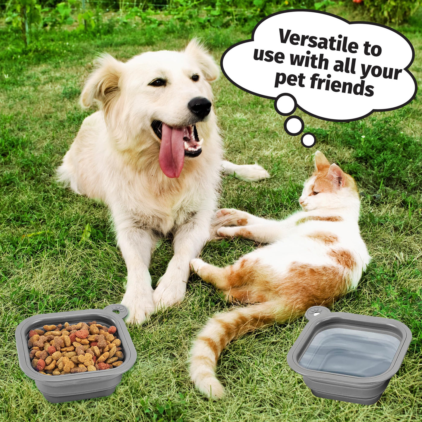 Collapsible Silicone Travel Bowls for Dogs & Cats