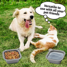 Collapsible Silicone Travel Bowls for Dogs & Cats