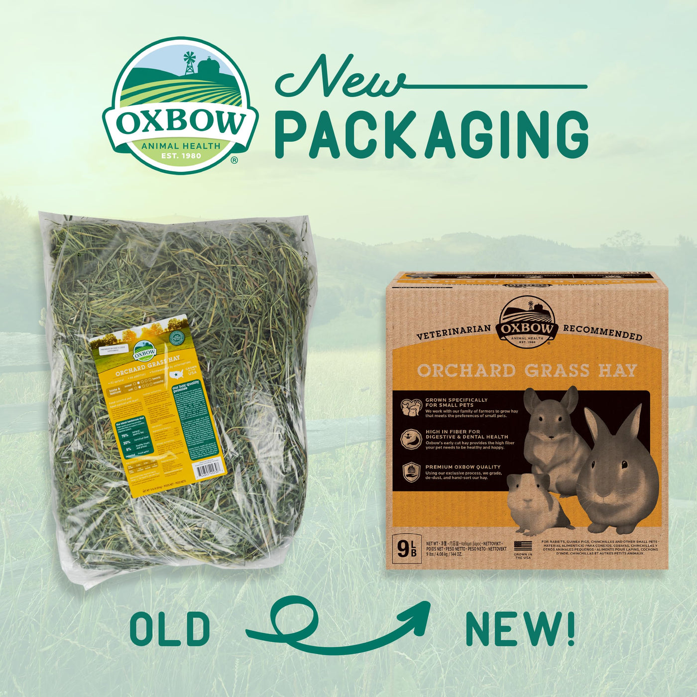 Orchard Grass Hay for Rabbits and Small Pets
