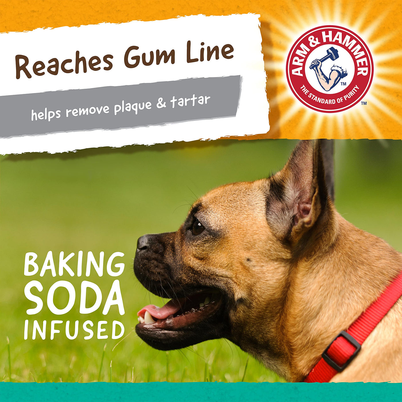 Super Treadz Dental Chew Toy for Dogs up to 35 lbs