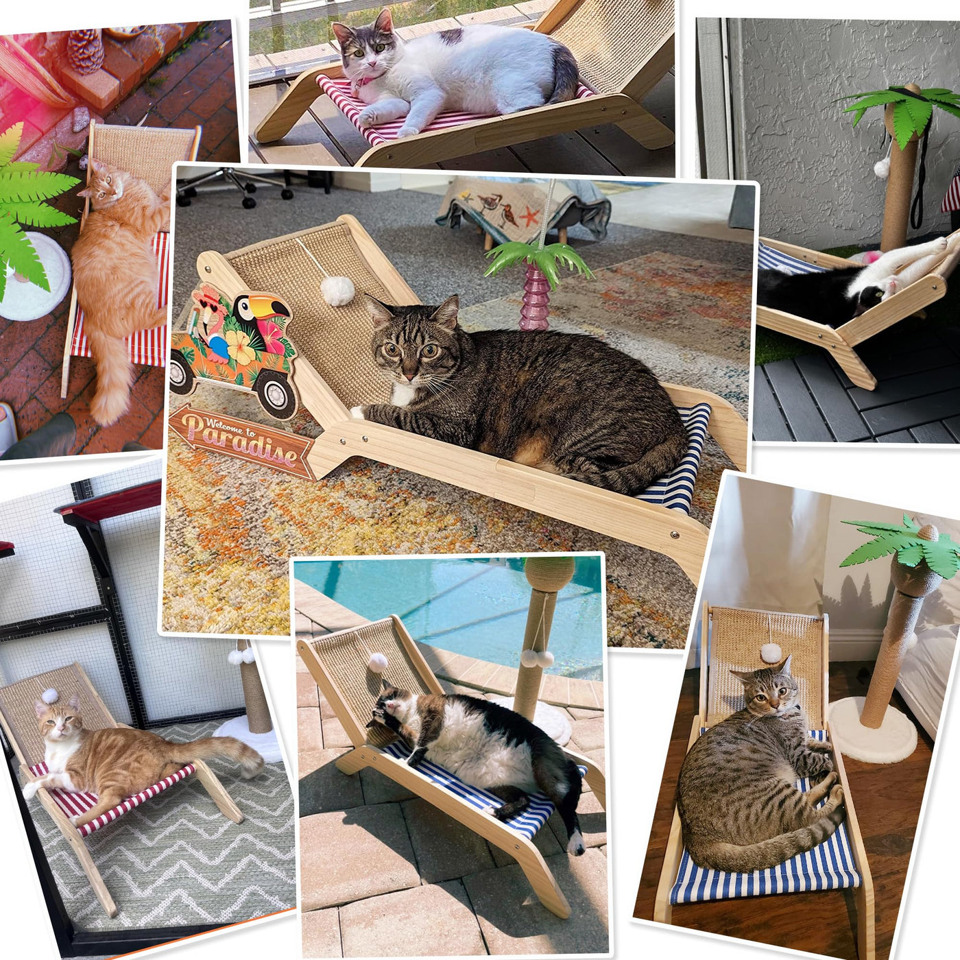 Beach Chair Cat Hammock with Sisal Scratcher & Toy Ball