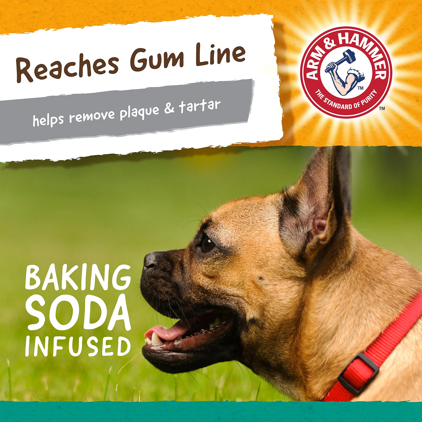 T-Bone Dental Chew Toy for Dogs & Tough Chewers